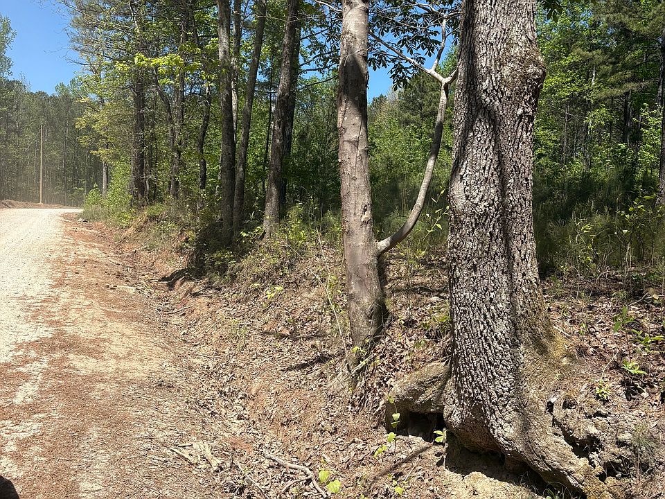2nd image of 7500 Tyree Rd