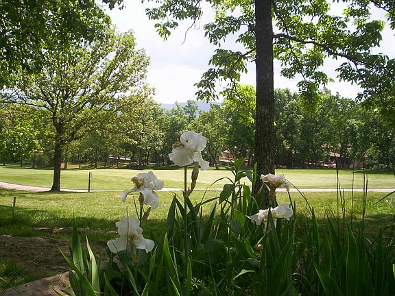 5th image of 126 Sugarbush Circle