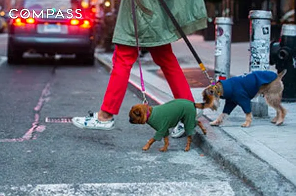 Rented by Compass | media 17