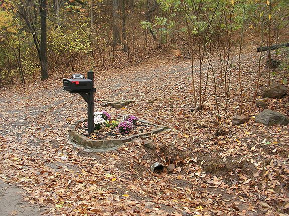 Leaf-camouflaged driveway 