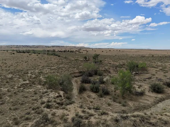 County Road 62.8, Model, CO 81059