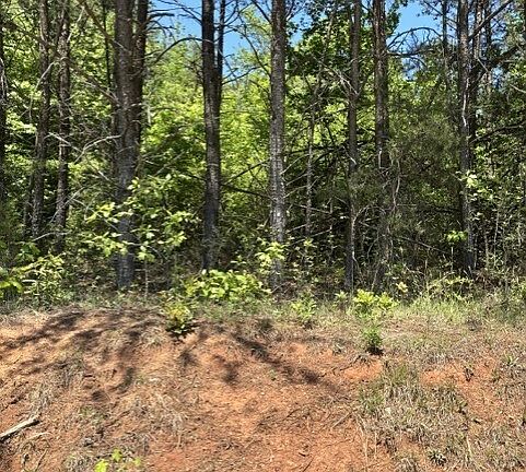 2nd image of 7.66 Acs Keener Rd