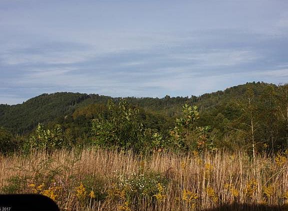 5th image of 116 Southern Scenic Hts #6