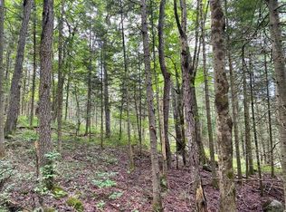 1.1 Kimballs Mill Rd #1, Harrisville, NY 13648