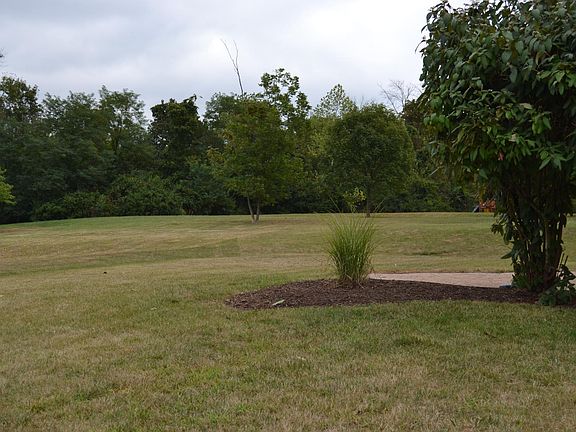 Backyard with patio and shared green space