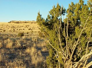 6218 S Prairie Grass Ln, Williams, AZ 86046