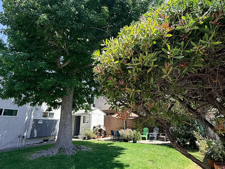 446 E Cypress Ave — Photo 3