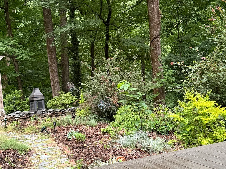 Front yard.