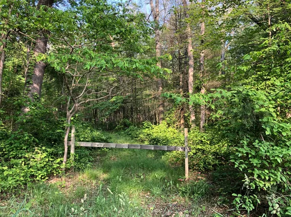 53rd St, Pullman, MI 49450