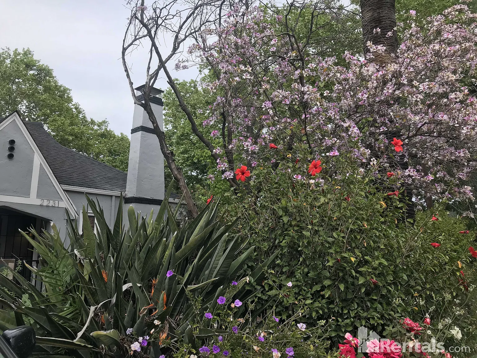 2229 West St photo 1