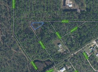 2124 Abington St, Sebring, FL 33875