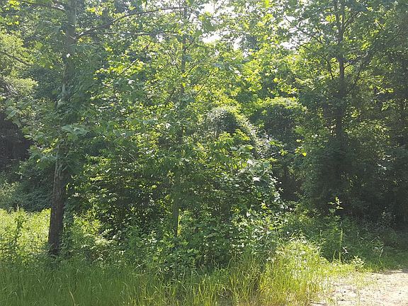 2nd image of 2001 Mellott Rd