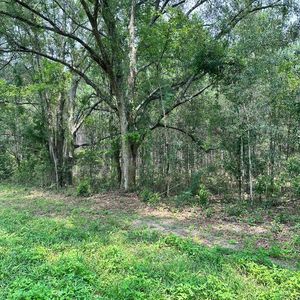  SW County Road 334A, Trenton, FL, 32693