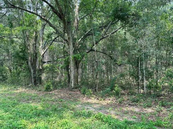  SW County Road 334A, Trenton, FL 32693