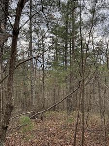 0 Fay Dr, Reliance, TN, 37369