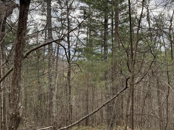0 Fay Dr, Reliance, TN 37369