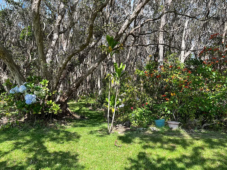 Pathway into the forest. Stroll through the 3-acre native forest, perfect for bird watching or looking for golf balls on the edge of the golf course.