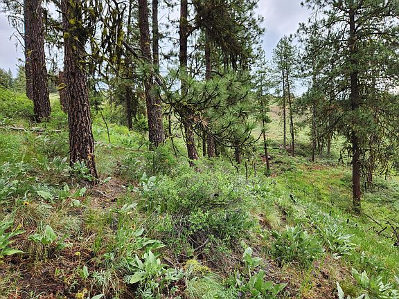 3rd image of Gold Mountain Rd Lot 74 & 75