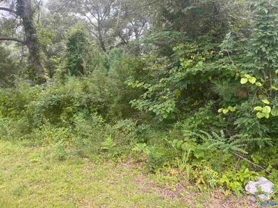 18 N College St, Gadsden, AL, 35905