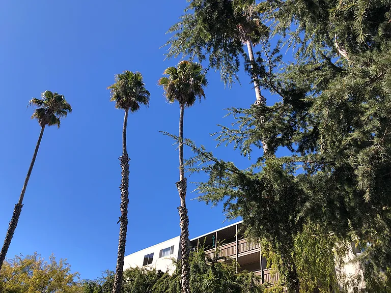 10 Mulberry Court — Photo 9