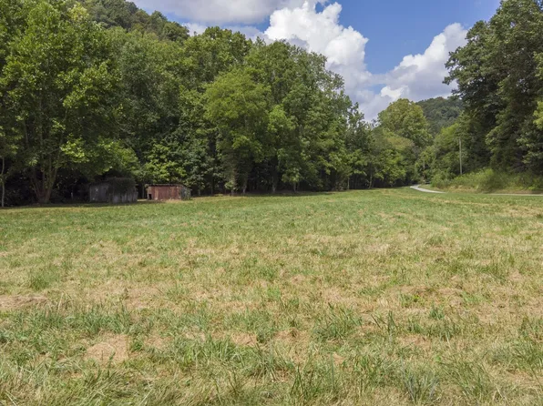 0 Smith Hollow Ln Lot 1 & 2, Pleasant Shade, TN 37145