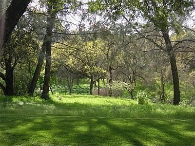 5th image of 1900 Quartz Creek Ln