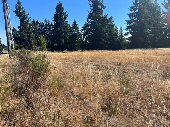18515 Sargent Road SW, Rochester, WA 98579