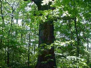 LOT 2 Scipio Rd, Spencerville, IN 46788