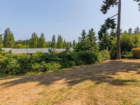The back yard is open and allows for lots of sunshine. Would be a perfect place for your plants and a garden.