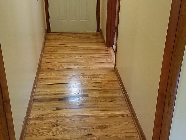 Front hallway with all new wood floors