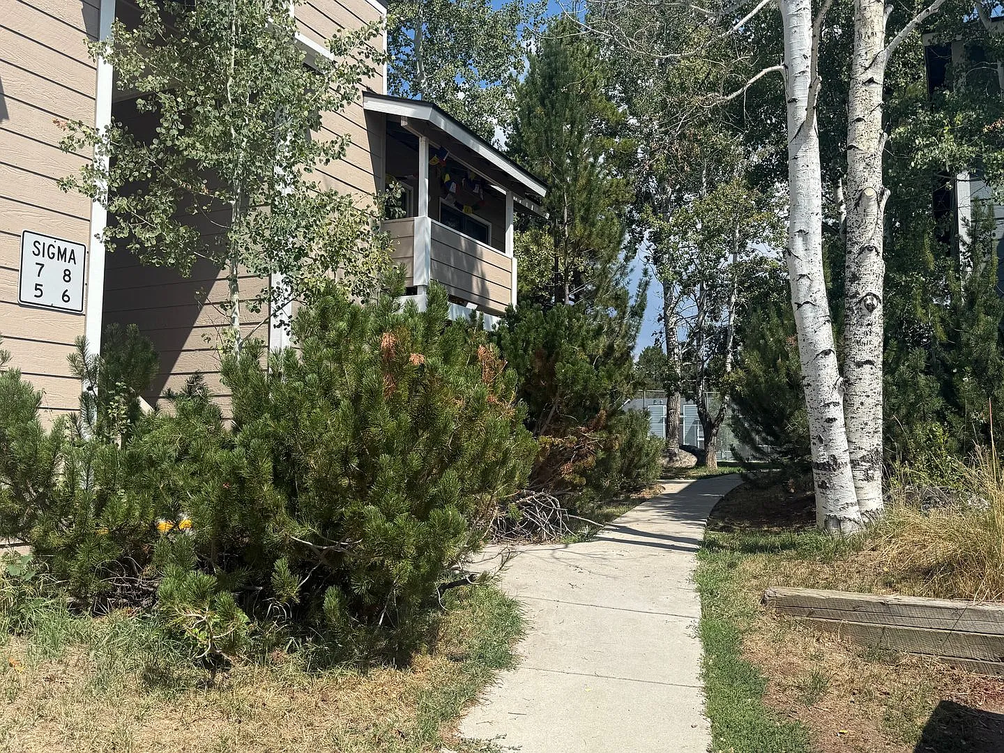 1 Bedroom for Lease Walton Village Steamboat Springs — Photo 1