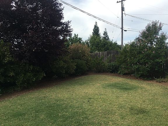 south west corner back yard