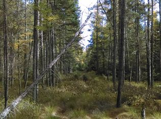 Off Park Ave, Antigo, WI 54409