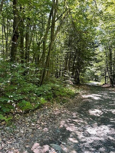 4th image of L 11 Horse Hill Rd. Rear Road