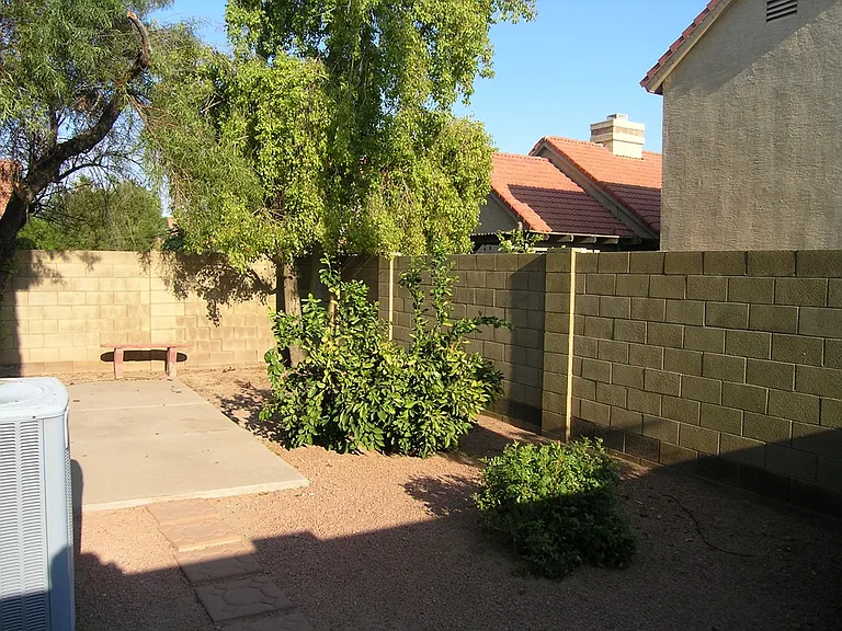 Backyard with bench