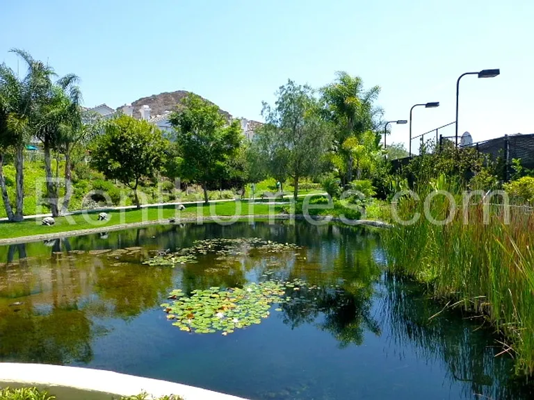 18650 Caminito Cantilena #288 — Photo 24
