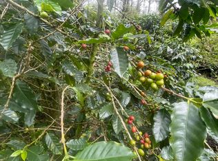 Kokokahi Rd LOT 36, Volcano, HI 96785