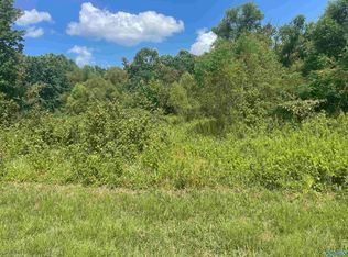 Feemster Gap Rd, Guntersville, AL 35976