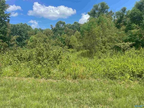 Feemster Gap Rd, Guntersville, AL 35976