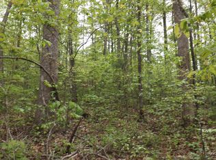 Blue Springs Rd, Speedwell, TN 37870