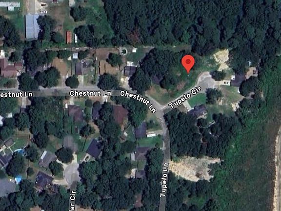 3rd image of 25785 Tupelo Cir
