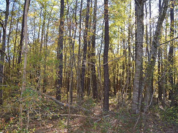 3rd image of Lot 43 Lakeshore Drive LOT 43