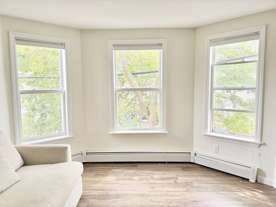 South-facing living room windows