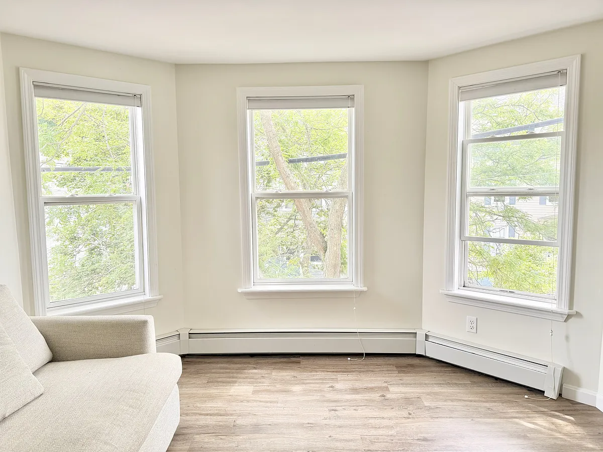 South-facing living room windows - 141 Sherman St #5