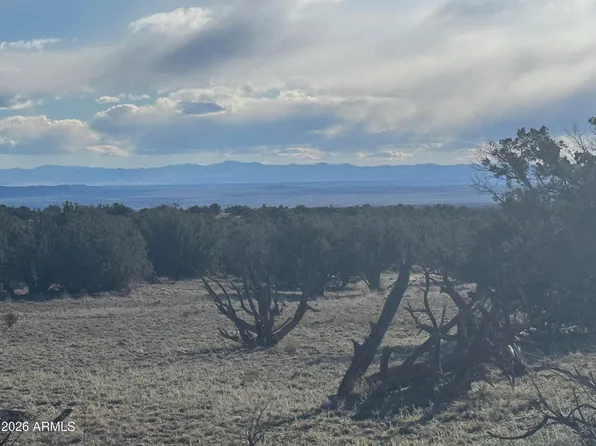 Lot 215 Woodland Valley Ranch -- #215, St Johns, AZ 85936