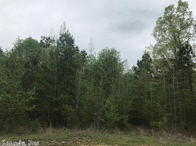 1st image of 21829 William Brandon Dr