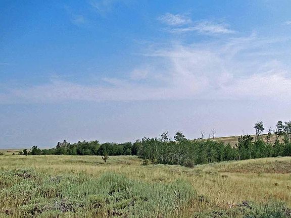 3rd image of Wilderness Ranch Rd