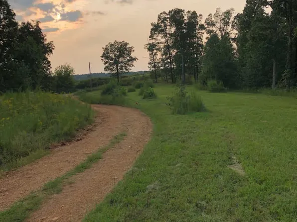 445 Overhead Bridge Rd, Hampshire, TN 38461