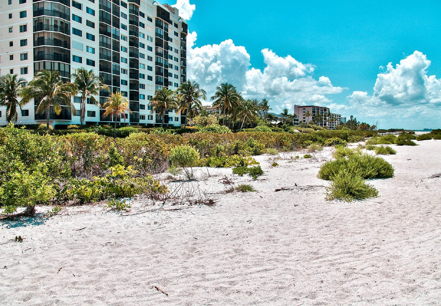 2 bed, 2.0 bath, 1042 sqft, $12,000 — Photo 3