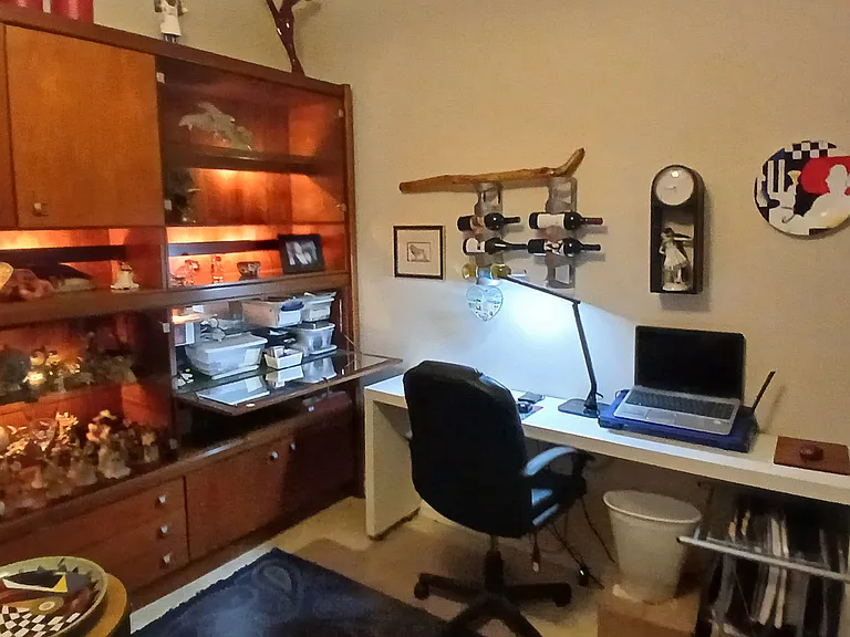 Office/Man Cave